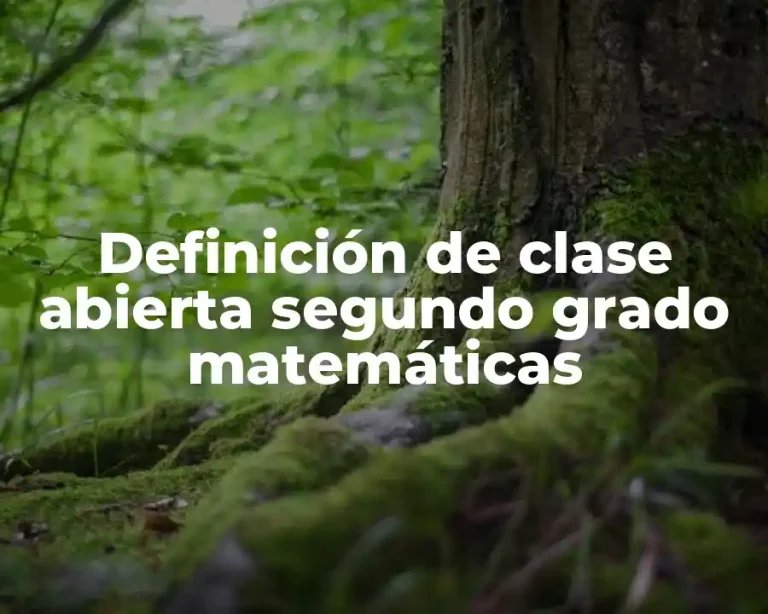 Definición de clase abierta segundo grado matemáticas