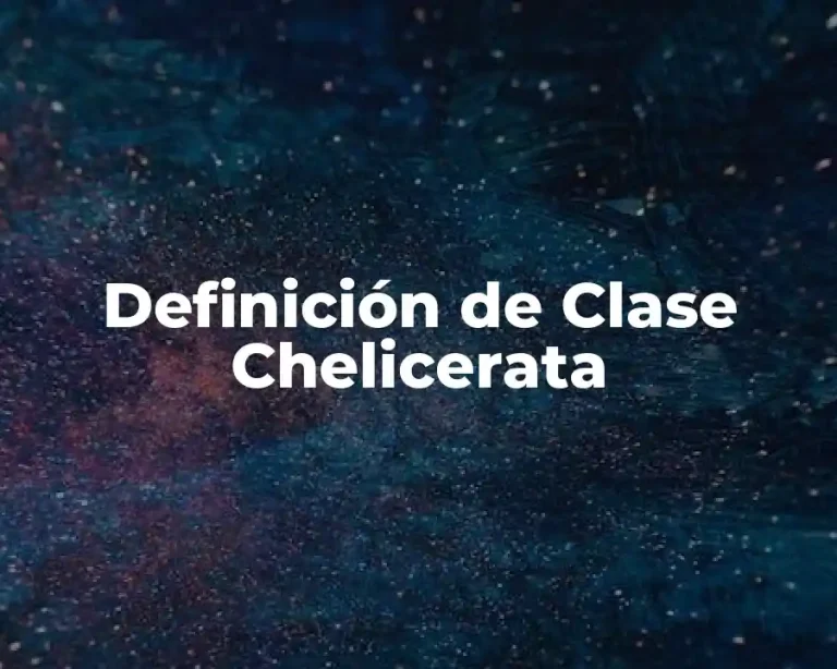 Definición de Clase Chelicerata