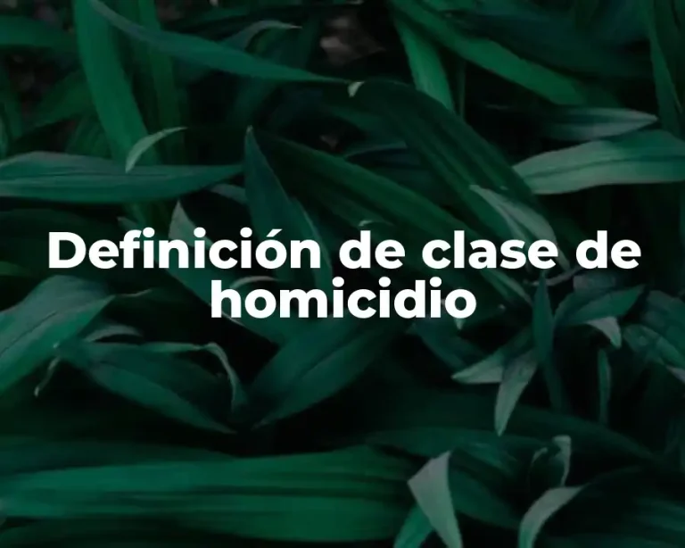 Definición de clase de homicidio