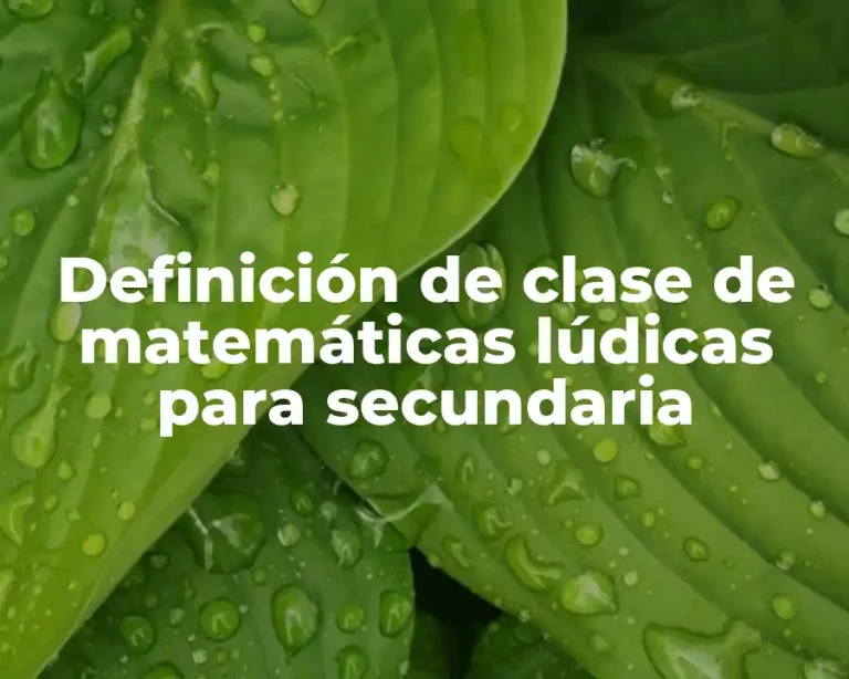 Definición de clase de matemáticas lúdicas para secundaria