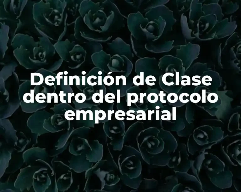 Definición de Clase dentro del protocolo empresarial