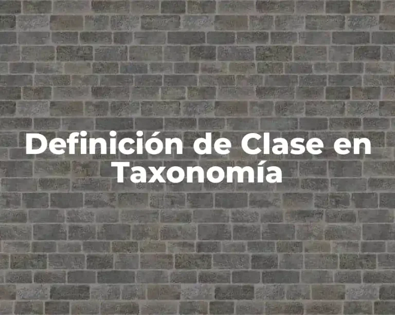 Definición de Clase en Taxonomía