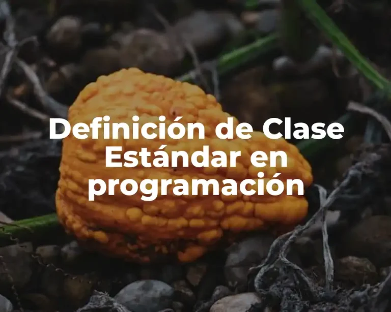 Definición de Clase Estándar en programación