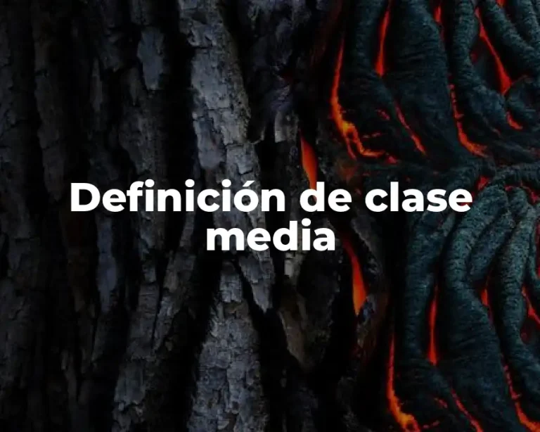 Definición de clase media