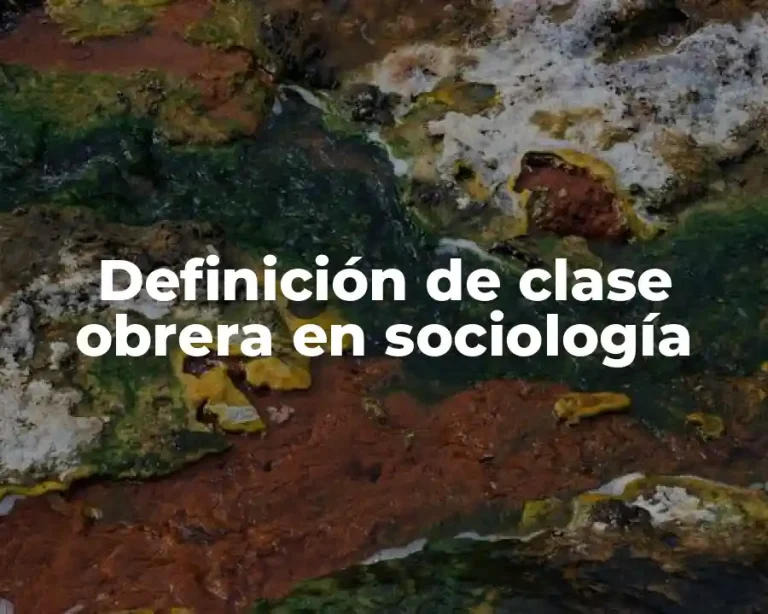Definición de clase obrera en sociología
