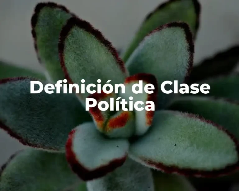 Definición de Clase Política