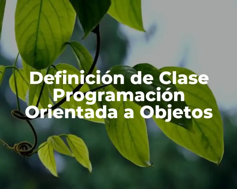 Definición de Clase Programación Orientada a Objetos