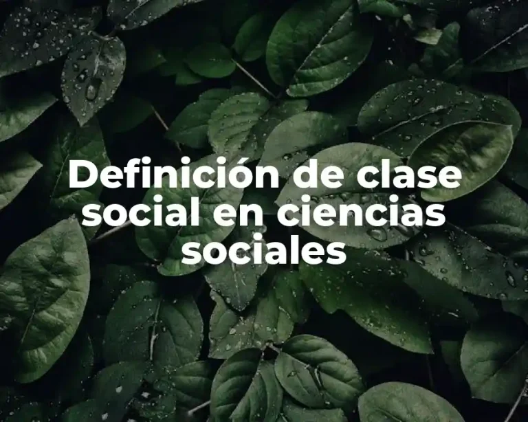 Definición de clase social en ciencias sociales