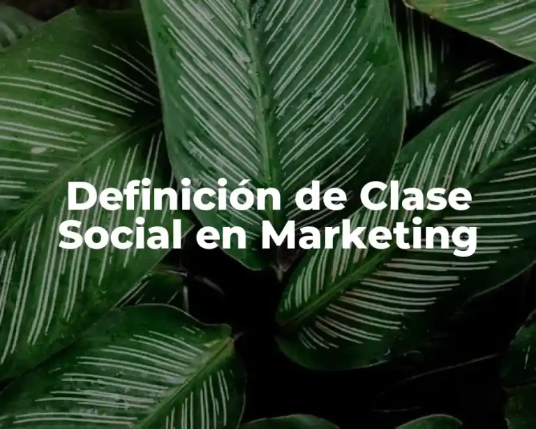 Definición de Clase Social en Marketing