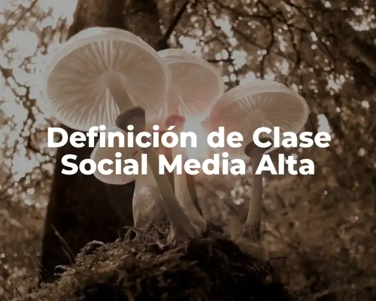 Definición de Clase Social Media Alta