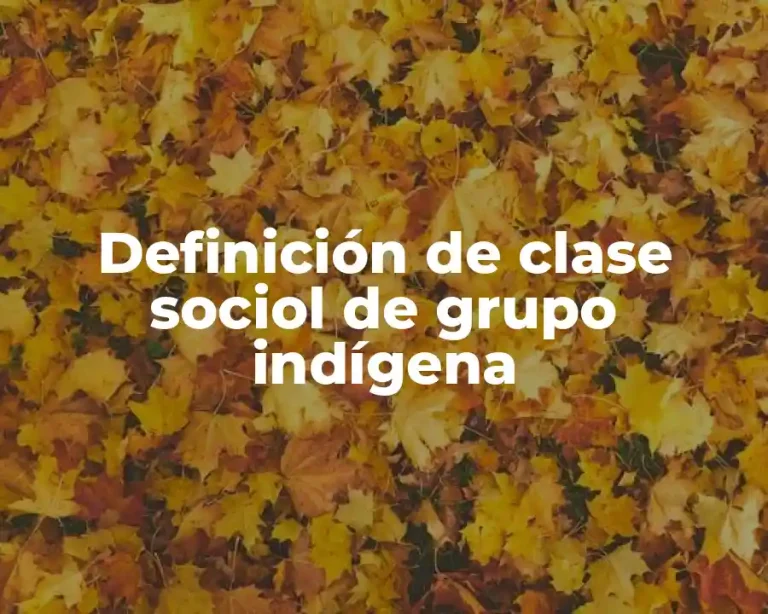 Definición de clase sociol de grupo indígena