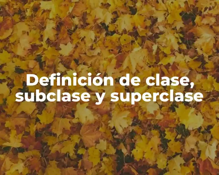 Definición de clase, subclase y superclase