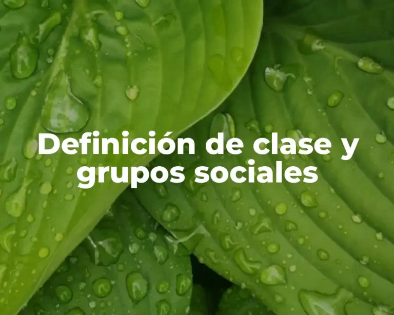 Definición de clase y grupos sociales