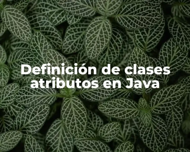 Definición de clases atributos en Java