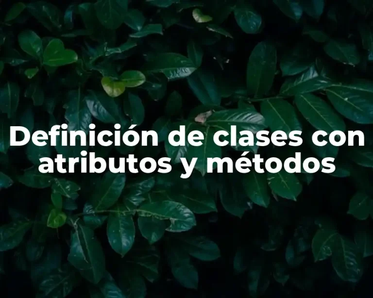 Definición de clases con atributos y métodos