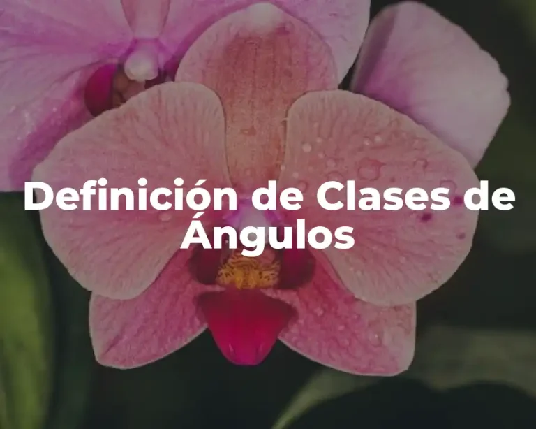 Definición de Clases de Ángulos