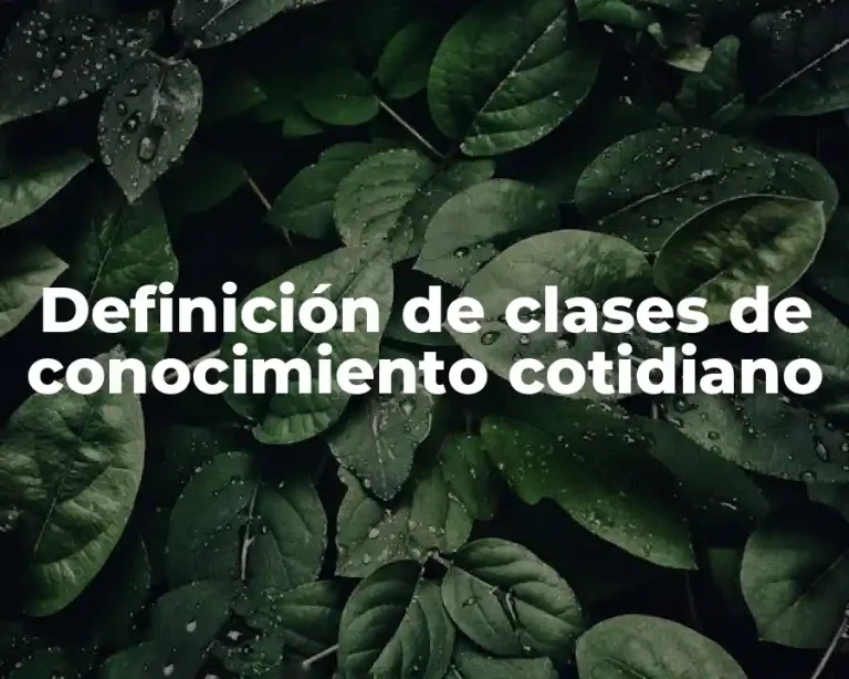 Definición de clases de conocimiento cotidiano