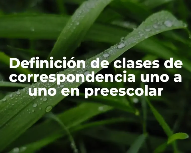 Definición de clases de correspondencia uno a uno en preescolar