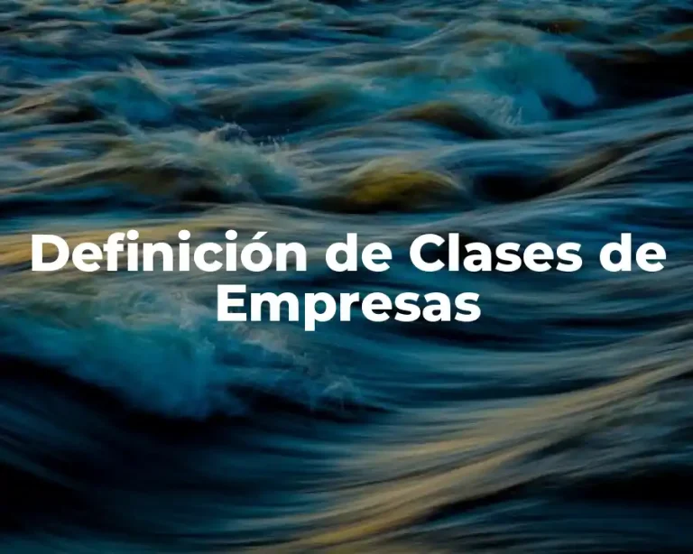 Definición de Clases de Empresas