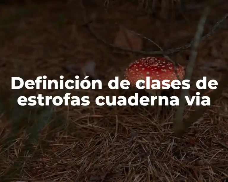 Definición de clases de estrofas cuaderna via