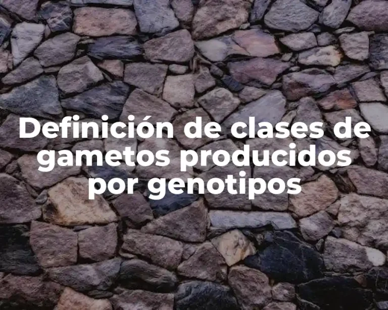 Definición de clases de gametos producidos por genotipos