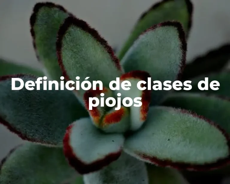 Definición de clases de piojos