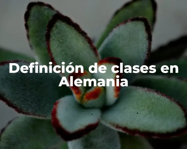 Definición de clases en Alemania