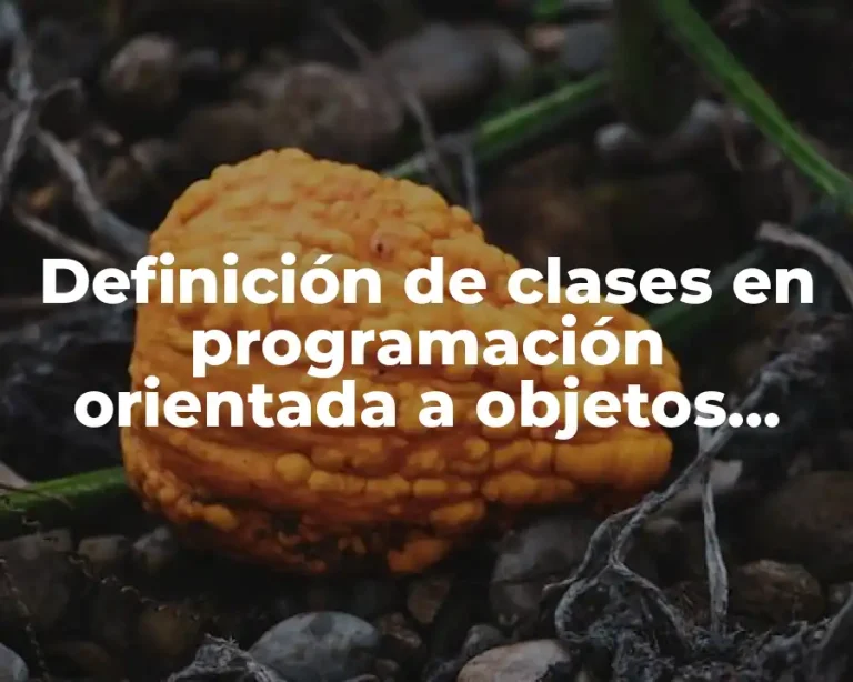 Definición de clases en programación orientada a objetos alcanza