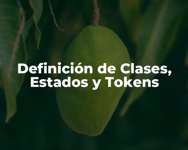 Definición de Clases, Estados y Tokens