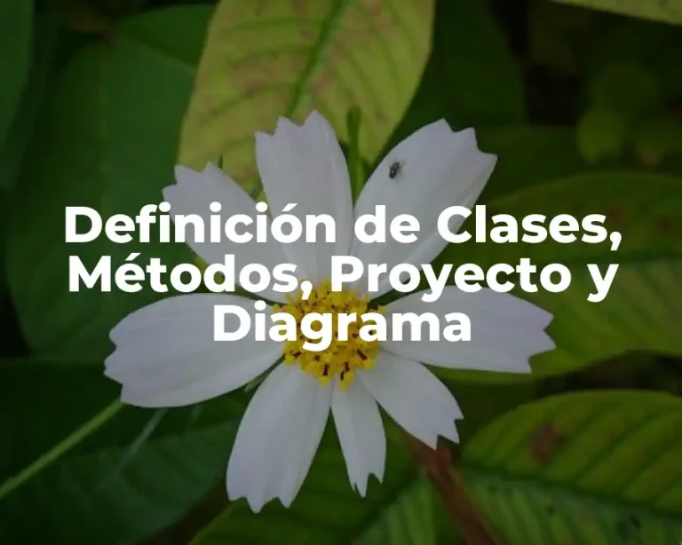 Definición de Clases, Métodos, Proyecto y Diagrama