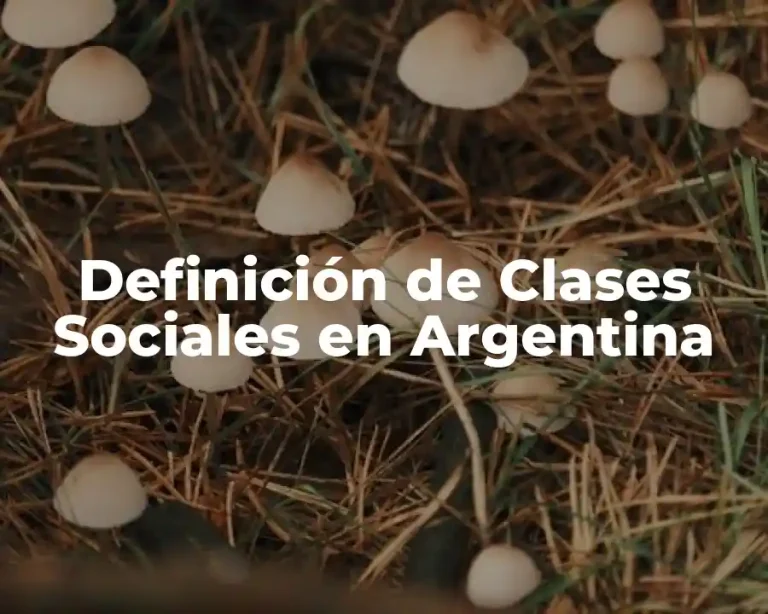 Definición de Clases Sociales en Argentina