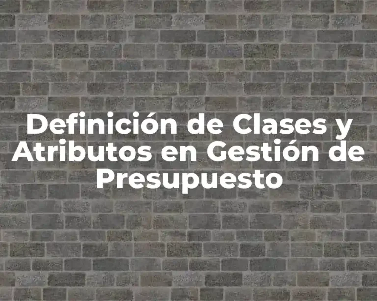 Definición de Clases y Atributos en Gestión de Presupuesto
