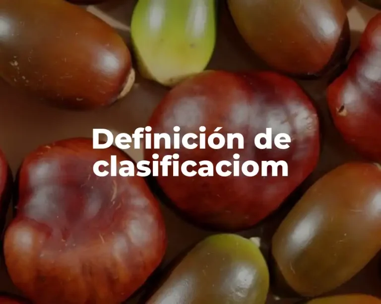 Definición de clasificaciom