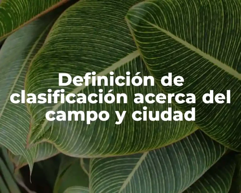 Definición de clasificación acerca del campo y ciudad