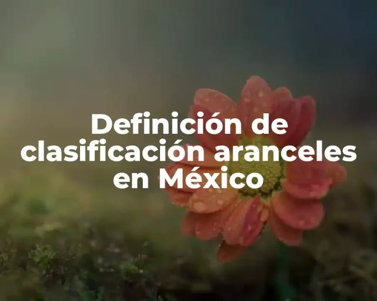 Definición de clasificación aranceles en México