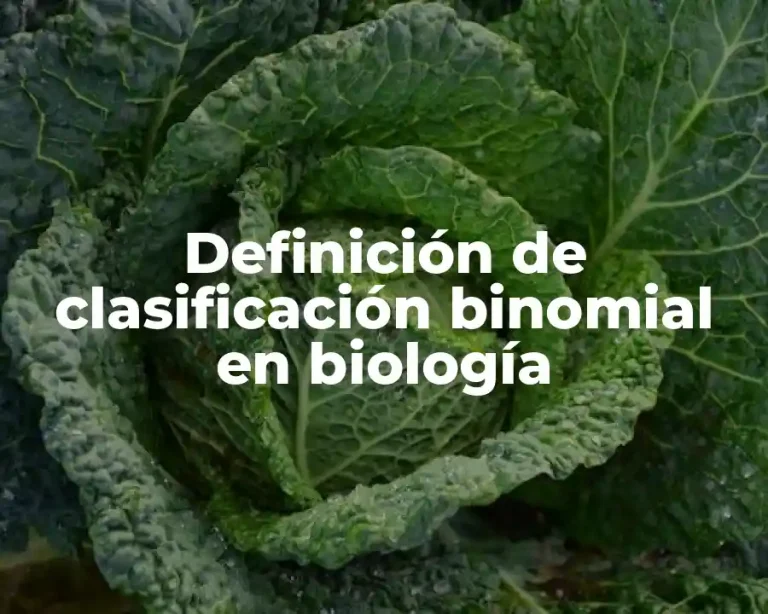Definición de clasificación binomial en biología