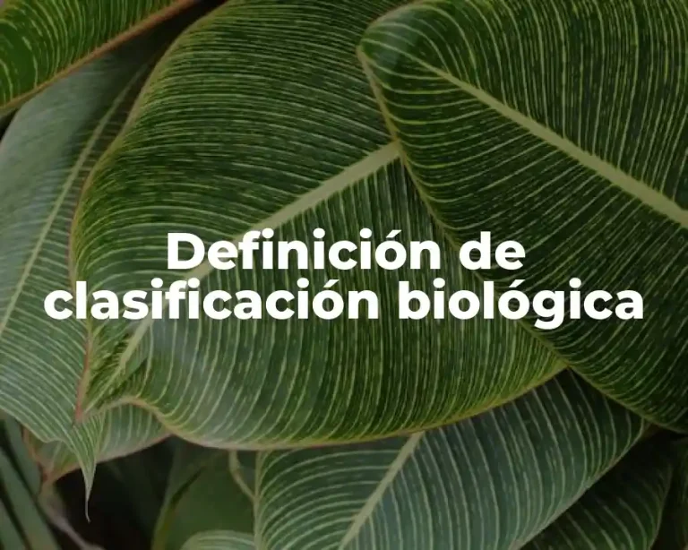 Definición de clasificación biológica