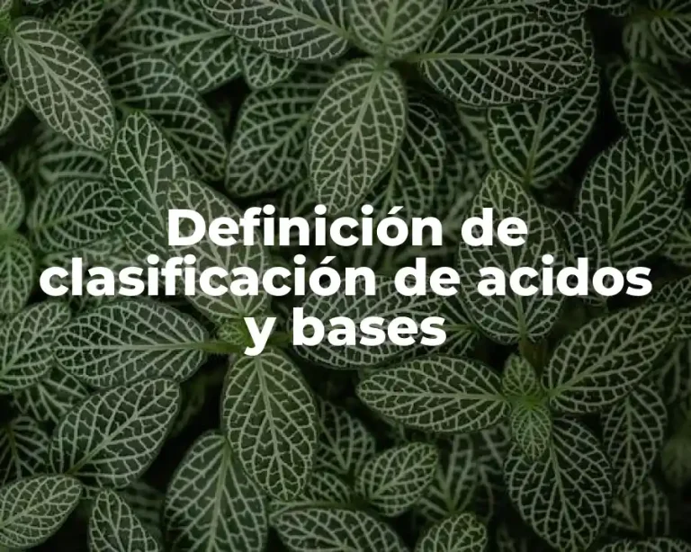Definición de clasificación de acidos y bases