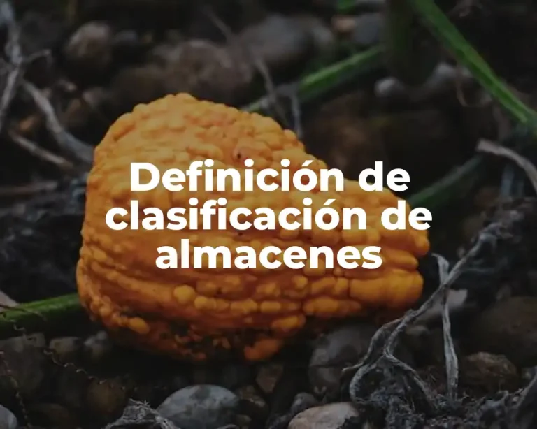 Definición de clasificación de almacenes