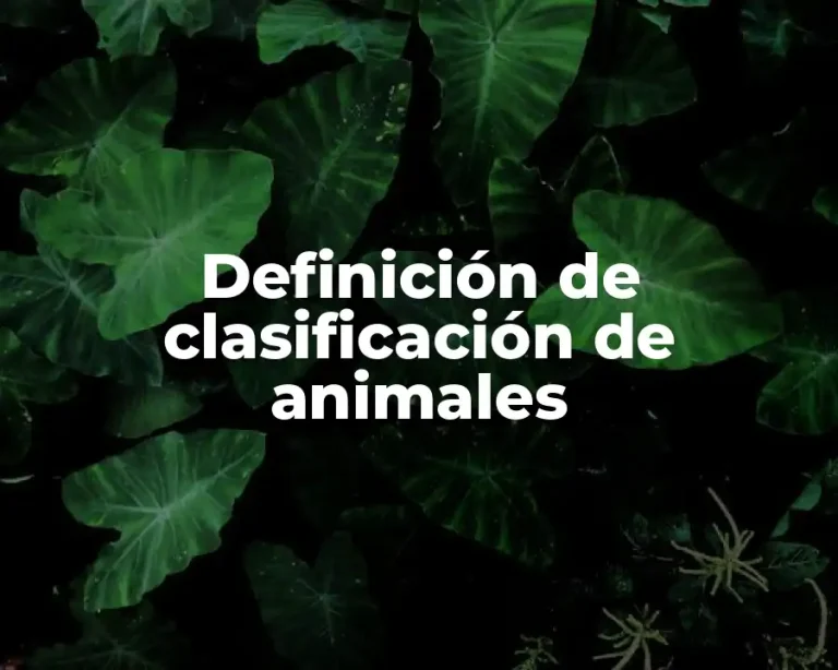 Definición de clasificación de animales