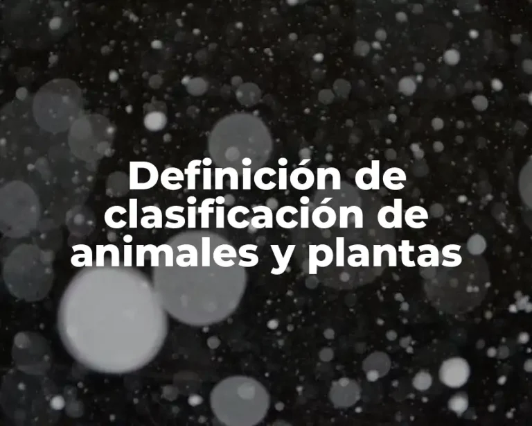 Definición de clasificación de animales y plantas