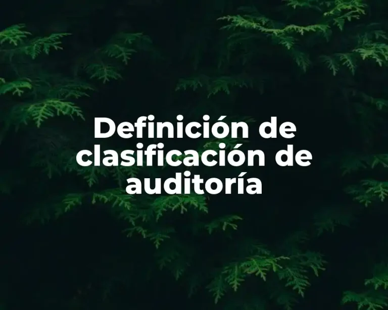 Definición de clasificación de auditoría