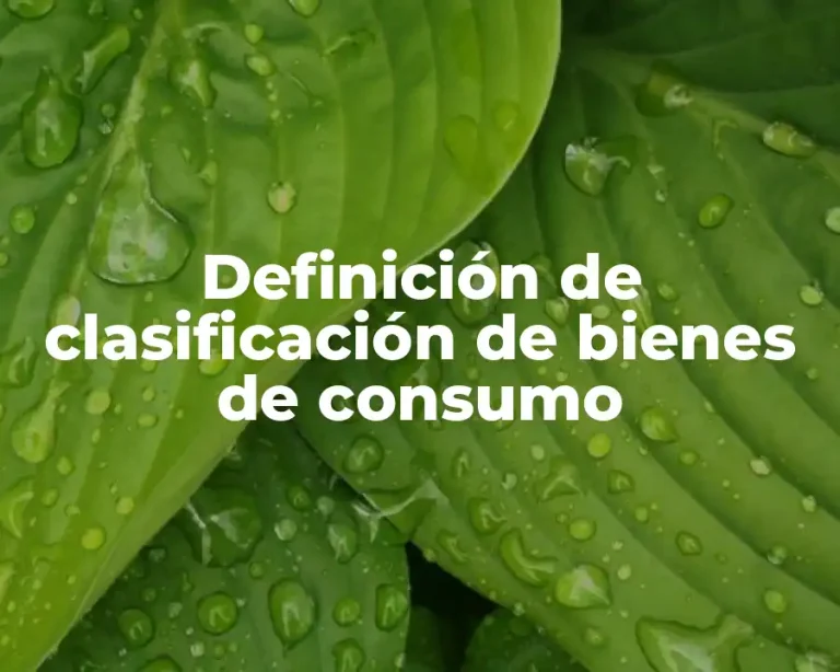Definición de clasificación de bienes de consumo