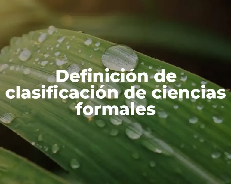 Definición de clasificación de ciencias formales