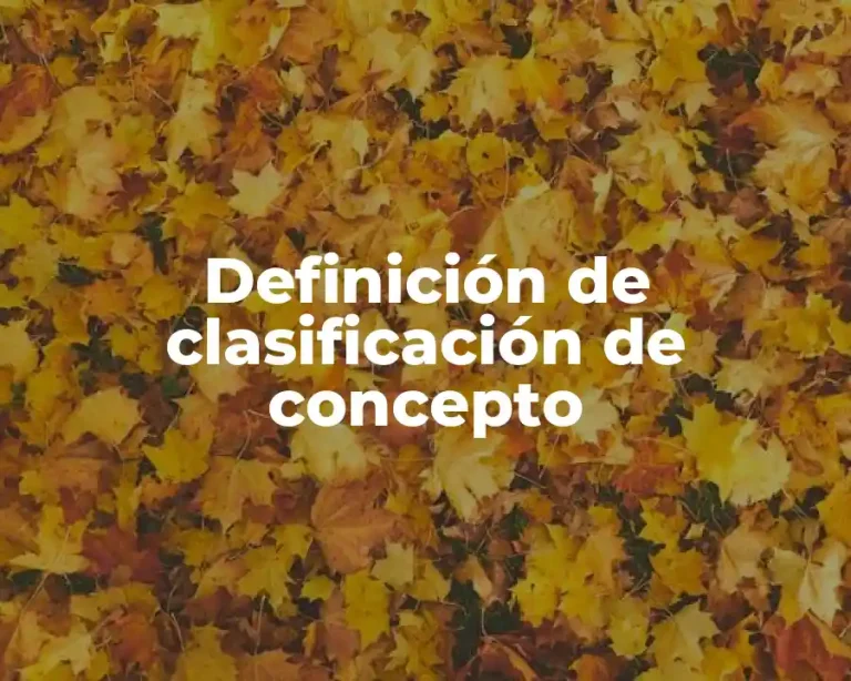 Definición de clasificación de concepto