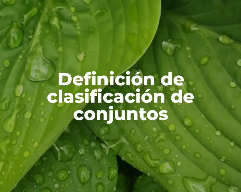Definición de clasificación de conjuntos