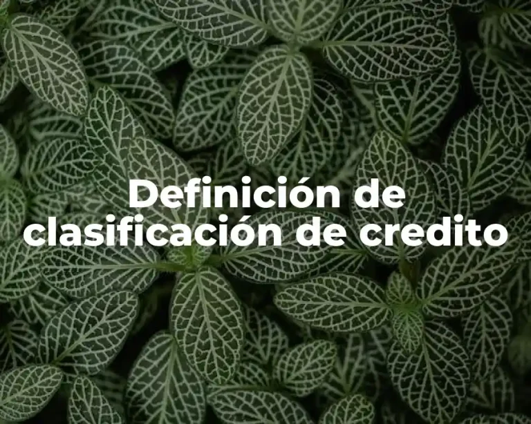 Definición de clasificación de credito