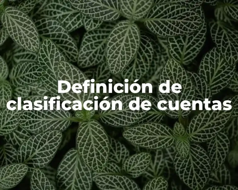 Definición de clasificación de cuentas