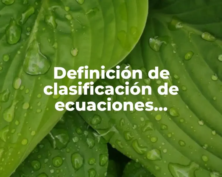 Definición de clasificación de ecuaciones diferenciales