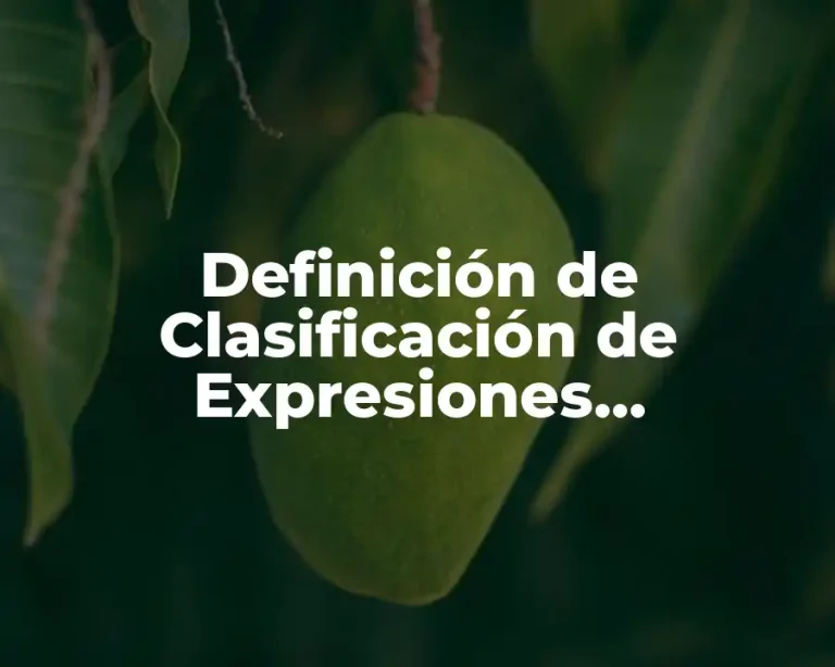 Definición de Clasificación de Expresiones Algebraicas